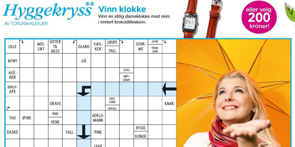 KRYSSORDFEIL: Slik ser starten på det riktige kryssordet ut. KRYSSORDFEIL: Slik ser starten på det riktige kryssordet ut.