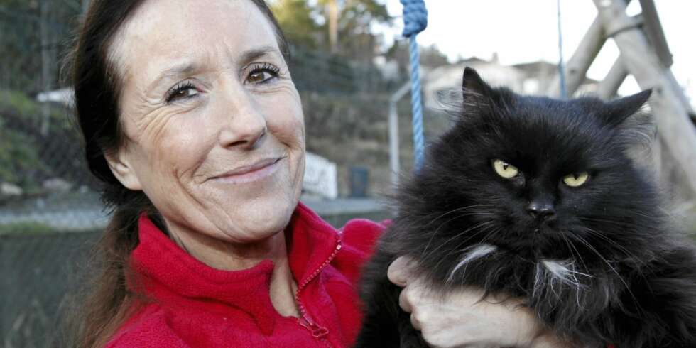ALT FOR DYRENE: Karen bruker all tid på hjemløse dyr. Her med pusen Lucky Boy, som ble funnet i et blomsterbed 2 ½ uke gammel, og som Karen tok med hjem og flasket opp. ALT FOR DYRENE: Karen bruker all tid på hjemløse dyr. Her med pusen Lucky Boy, som ble funnet i et blomsterbed 2 ½ uke gammel, og som Karen tok med hjem og flasket opp.