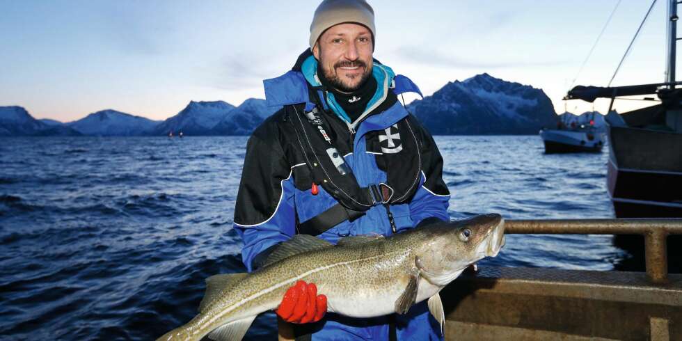 STOLT FISKER: Kronprins Haakon var veldig fornøyd med fangsten på fisketuren i nord. Her med en skrei på 5½ kilo. STOLT FISKER: Kronprins Haakon var veldig fornøyd med fangsten på fisketuren i nord. Her med en skrei på 5½ kilo.