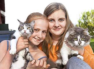 KATTEKOS: Christina og Charlotte har hver sin katt. Rambo og Whiskas får alle den kosen de trenger. KATTEKOS: Christina og Charlotte har hver sin katt. Rambo og Whiskas får alle den kosen de trenger.
