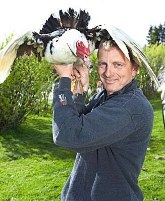Glenn Spydslaug sammen med moskusanden Donald. Glenn Spydslaug sammen med moskusanden Donald.
