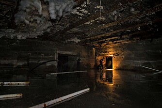 Mugg i taket, treverket råtner, maling flasser og vann står til langt opp på veggen. Hvis ikke noe blir gjort snart, vil denne bunkeren om ikke lenge forsvinne. Mugg i taket, treverket råtner, maling flasser og vann står til langt opp på veggen. Hvis ikke noe blir gjort snart, vil denne bunkeren om ikke lenge forsvinne.