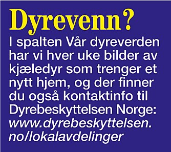 www.dyrebeskyttelsen.no/lokalavdelinger www.dyrebeskyttelsen.no/lokalavdelinger