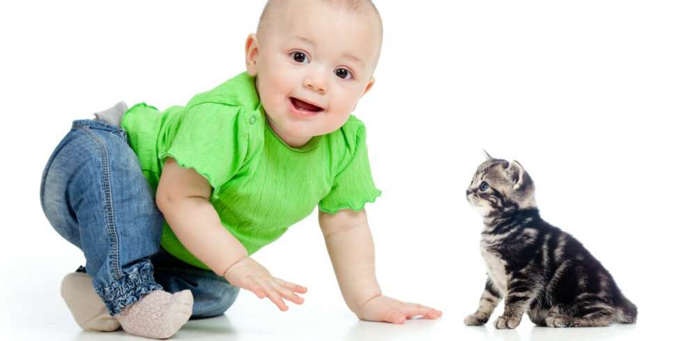 Katter og barn kan leve i full harmoni sammen, men det er smart med noen forholdsregler i familien. Foto: Colourbox.no Katter og barn kan leve i full harmoni sammen, men det er smart med noen forholdsregler i familien. Foto: Colourbox.no