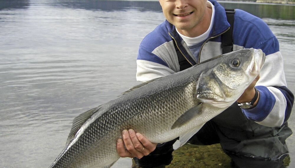 REKORDFISK: Øystein Davidsen fra Egersund med sin flotte havabborrekord på 6,09 kg. Fisken ble tatt på makrell i Flekkefjord i august 2005. REKORDFISK: Øystein Davidsen fra Egersund med sin flotte havabborrekord på 6,09 kg. Fisken ble tatt på makrell i Flekkefjord i august 2005.