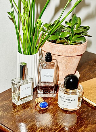 Til fest bruker Lou duften 3 L'imperatrice, edt 50 ml fra D&G, ca. kr 540. Til fest bruker Lou duften 3 L'imperatrice, edt 50 ml fra D&G, ca. kr 540.