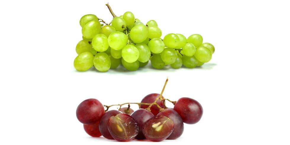 BARE ÉN AV DEM INNEHOLDER EN SUPERANTIOKSIDANT: - Om man skal velge den aller sunneste druen, er de røde og blå druene ekstra supre med sitt høye innhold av resveratrol, sier Gunn Helene Arsky, som er ernæringsfysiolog i Bama og forfatter av boken «Spis deg ung», til Det Nye ShapeUp. BARE ÉN AV DEM INNEHOLDER EN SUPERANTIOKSIDANT: - Om man skal velge den aller sunneste druen, er de røde og blå druene ekstra supre med sitt høye innhold av resveratrol, sier Gunn Helene Arsky, som er ernæringsfysiolog i Bama og forfatter av boken «Spis deg ung», til Det Nye ShapeUp.