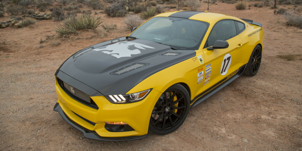 ALTERNATIVET: Det finnes alternativer til "Stang"-en fra GeigerCars. Dette er Shelby Terlingua fra Shelby American, basert på Ford Mustang GT. Med en Whipple-kompressor produserer den 750 hk. FOTO: Shelby American ALTERNATIVET: Det finnes alternativer til "Stang"-en fra GeigerCars. Dette er Shelby Terlingua fra Shelby American, basert på Ford Mustang GT. Med en Whipple-kompressor produserer den 750 hk. FOTO: Shelby American