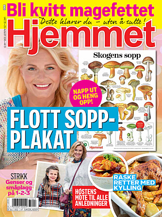 DEKORATIV: Hjemmet og Norges sopp- og nyttevekstforening har samarbeidet om den fine plakaten som følger med i Hjemmet uke 35. DEKORATIV: Hjemmet og Norges sopp- og nyttevekstforening har samarbeidet om den fine plakaten som følger med i Hjemmet uke 35.