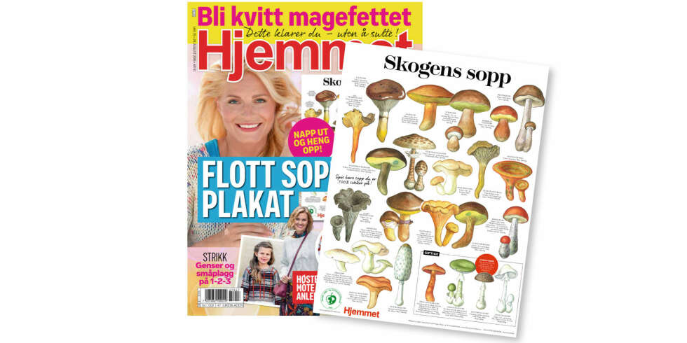 Hjemmet uke 35. Hjemmet uke 35.