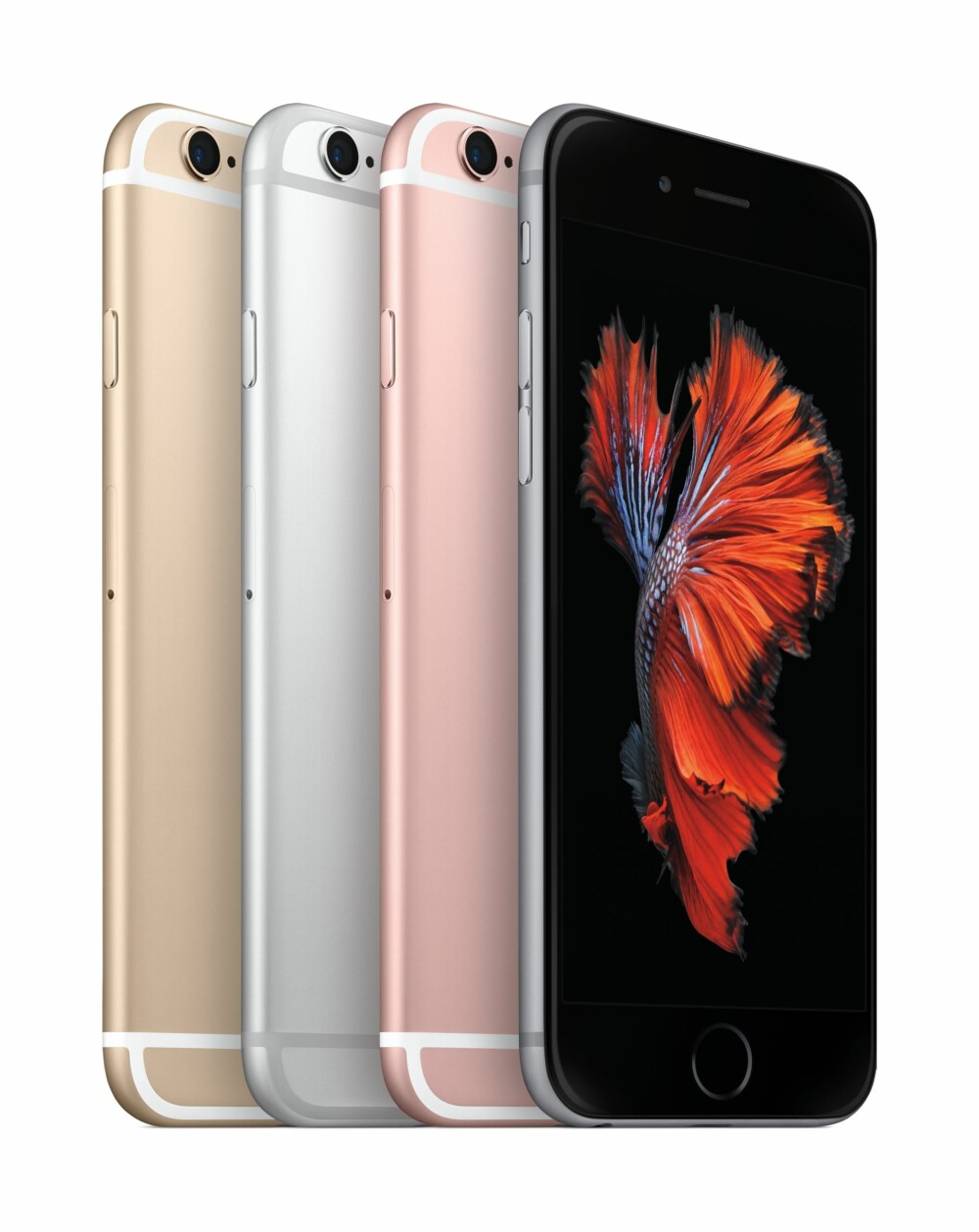 FARGEVALG: Apple iPhone 6s kommer i fire forskjellige farger. FARGEVALG: Apple iPhone 6s kommer i fire forskjellige farger.