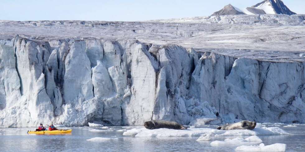 ABSOLUTT SPITSBERGEN: På kajakkturi Billefjordenkan du opplevenærkontaktmed sel og vandreturpå den spektakulære Nordenskioldbreen. FOTO: Arne Otto Iversen ABSOLUTT SPITSBERGEN: På kajakkturi Billefjordenkan du opplevenærkontaktmed sel og vandreturpå den spektakulære Nordenskioldbreen. FOTO: Arne Otto Iversen
