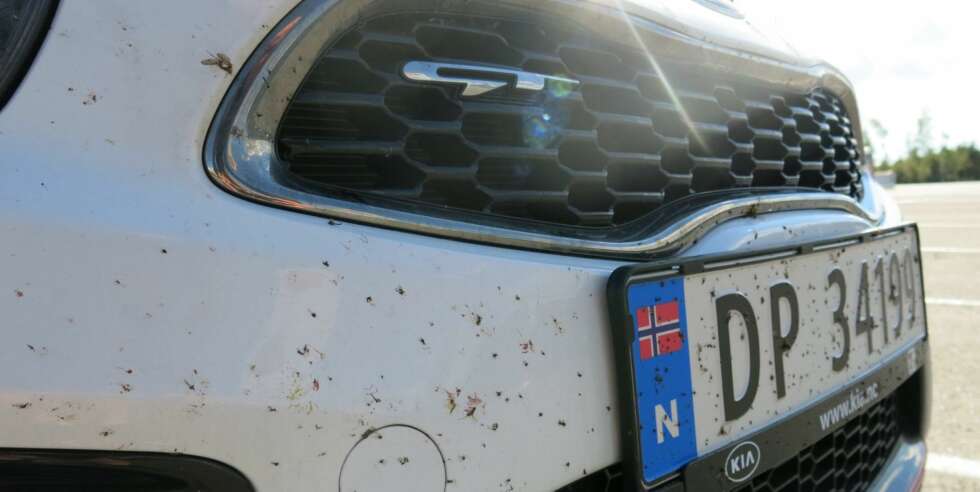 SPLATTER: Insektmassakeren. SPLATTER: Insektmassakeren.