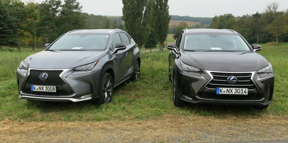 F SPORT: Vil du ha en mer hissig utseende NX kan du velge F Sport-versjonen (til venstre). FOTO: Martin Jansen F SPORT: Vil du ha en mer hissig utseende NX kan du velge F Sport-versjonen (til venstre). FOTO: Martin Jansen