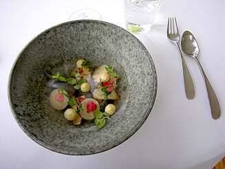 GERANIUM: Ikke én stjerne i Michelin-guiide. TO stjerner. GERANIUM: Ikke én stjerne i Michelin-guiide. TO stjerner.