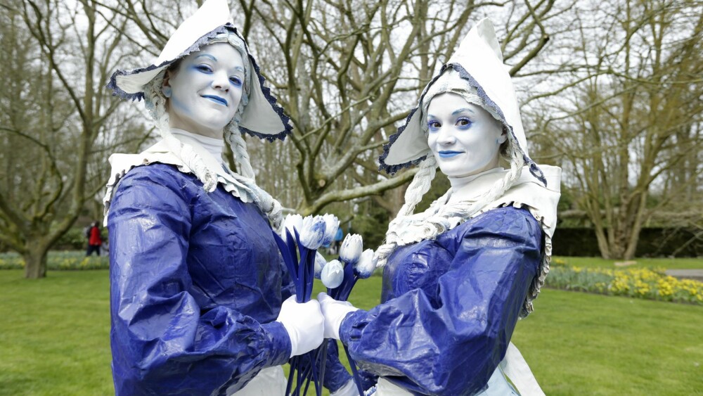DELFT BLÅ: Golden Age er årets tema, og et undertema er den velkjente fargen som ble svært så populær på fliser, porselen og keramikk. FOTO: Keukenhof DELFT BLÅ: Golden Age er årets tema, og et undertema er den velkjente fargen som ble svært så populær på fliser, porselen og keramikk. FOTO: Keukenhof