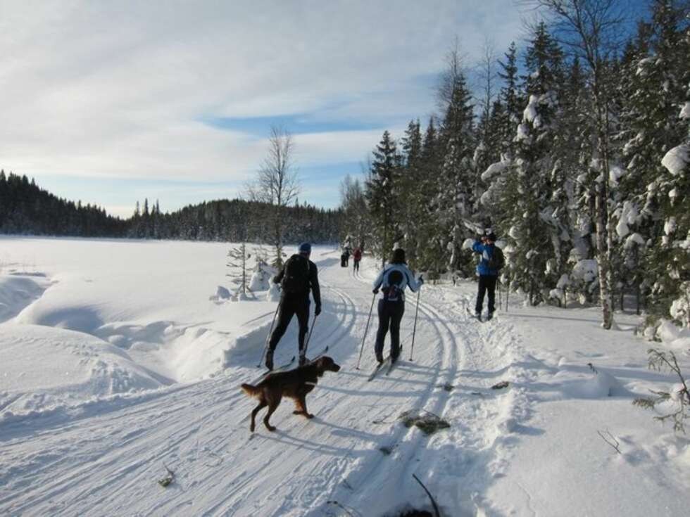 HALVVEIS! Ved det mildt sagt vakre Trantjern har dere snuta sørover, sola i fjeset, og 50 km bak dere. HALVVEIS! Ved det mildt sagt vakre Trantjern har dere snuta sørover, sola i fjeset, og 50 km bak dere.