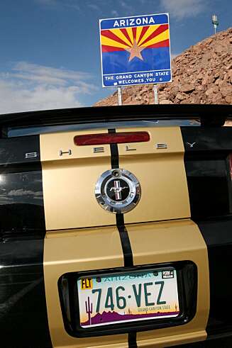 HOMECOMING: Hjemmehørende i Phoenix, Arizona. Men Forfinet i Las Vegas, Nevada. Jeg snakker selvsagt om den gullpyntede Mustangen. HOMECOMING: Hjemmehørende i Phoenix, Arizona. Men Forfinet i Las Vegas, Nevada. Jeg snakker selvsagt om den gullpyntede Mustangen.