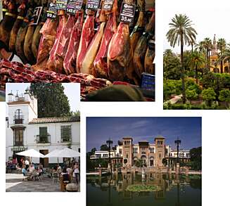 SEVILLA: Er du klar for spansk sjarm og romantikk er kanskje Sevilla det perfekte stedet for en langhelg? Her kan dere blant annet beundre fantastisk arkitektur, nyte livet i nydelige hager, spise god tapas og sippe til fantastiske spanske viner. SEVILLA: Er du klar for spansk sjarm og romantikk er kanskje Sevilla det perfekte stedet for en langhelg? Her kan dere blant annet beundre fantastisk arkitektur, nyte livet i nydelige hager, spise god tapas og sippe til fantastiske spanske viner.