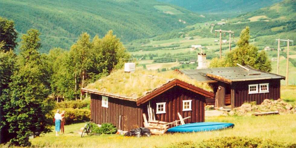 BLANT FJELL OG DALER: Jo høyere du kommer, jo mer må plantene tåle. BLANT FJELL OG DALER: Jo høyere du kommer, jo mer må plantene tåle.