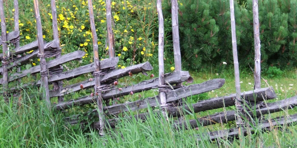HOLD DYRA UTE: Skigard rundt hyttehagen holder rådyr og andre ubudne gjester unna blomsterløk og andre planter. HOLD DYRA UTE: Skigard rundt hyttehagen holder rådyr og andre ubudne gjester unna blomsterløk og andre planter.