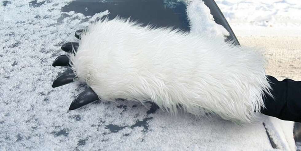 Wampa isskrape. FOTO: Michael Krause Wampa isskrape. FOTO: Michael Krause