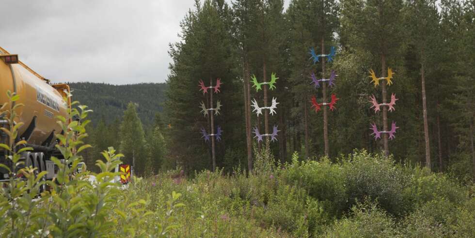 TILTAK: Fargeglade elggevir er blant tiltakene langs riksvei 3. FOTO: Statens vegvesen TILTAK: Fargeglade elggevir er blant tiltakene langs riksvei 3. FOTO: Statens vegvesen