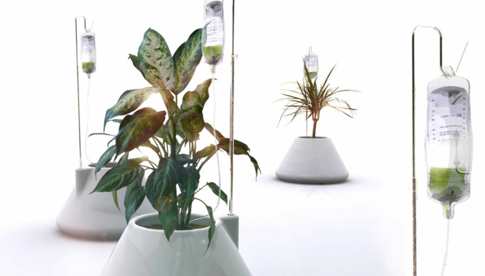 RETT I ROTA: "Intravenøs" plantevanning; for deg som vil ha noe spesielt til potteplantene. RETT I ROTA: "Intravenøs" plantevanning; for deg som vil ha noe spesielt til potteplantene.