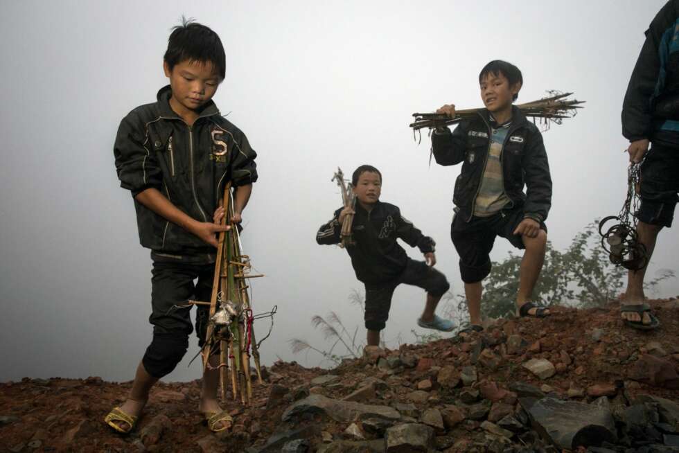Rismarker, Kina Rismarker, Kina