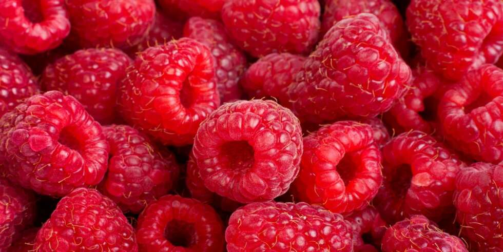 DESSERT: Bær er sunt og godt, og perfekt som dessert for store og små - særlig i sommerhalvåret. Dersom barnet ditt ikke liker bærene alene kan du lage smoothie eller kutte og blande med for eksempel vaniljekesam. DESSERT: Bær er sunt og godt, og perfekt som dessert for store og små - særlig i sommerhalvåret. Dersom barnet ditt ikke liker bærene alene kan du lage smoothie eller kutte og blande med for eksempel vaniljekesam.