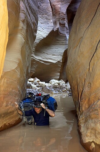 For oss som fascineres av slanger, er det spesielt ett sted jeg kan anbefale: Buckskin Gulch i Utah, USA. Første gang jeg besøkte denne trange steinkorridoren i Utahs ørken, så jeg hele fem slanger i løpet av dag en. For oss som fascineres av slanger, er det spesielt ett sted jeg kan anbefale: Buckskin Gulch i Utah, USA. Første gang jeg besøkte denne trange steinkorridoren i Utahs ørken, så jeg hele fem slanger i løpet av dag en.