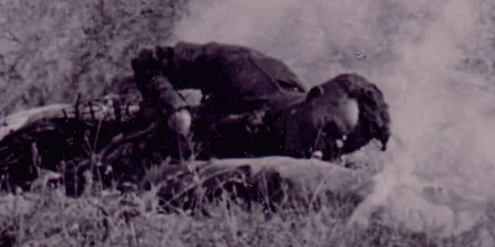 De norske frivillige i Regiment Nordland ble møtt med brutal motstand i kampen for å erobre oljerikdommene i Tsjetsjenia. De norske frivillige i Regiment Nordland ble møtt med brutal motstand i kampen for å erobre oljerikdommene i Tsjetsjenia.
