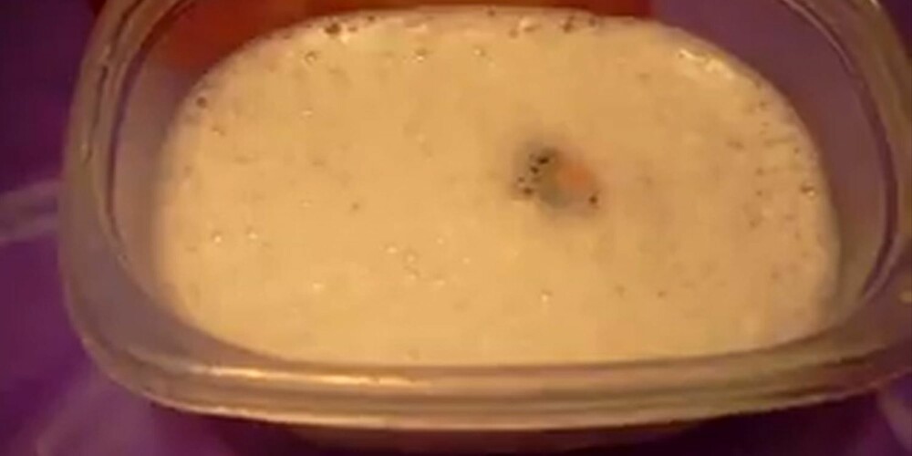 RESULTATET: Youtube-profilen CaunklyKac1723 har puttet tre vaskenøtter i en plastboks fylt med vann. Deretter har han ristet boksen godt for å gi nøttene en lik behandling som de ville fått i en vaskemaskin. Etter kun et par sekunder, begynner vannet å skumme. RESULTATET: Youtube-profilen CaunklyKac1723 har puttet tre vaskenøtter i en plastboks fylt med vann. Deretter har han ristet boksen godt for å gi nøttene en lik behandling som de ville fått i en vaskemaskin. Etter kun et par sekunder, begynner vannet å skumme.