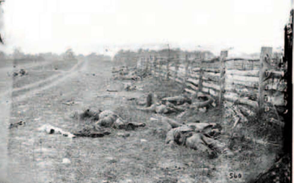 Alexander Gardner tok dette bildet etter slaget ved Antietam i Maryland 17. september 1862. Rundt 3500 soldater mistet livet denne dagen. Bildet viser falne sørstatssoldater langs den beryktede Hagerstown-veien. Her var kampene brutale, med frontene bare få meter fra hverandre. Gjerdet ga liten beskyttelse. Alexander Gardner tok dette bildet etter slaget ved Antietam i Maryland 17. september 1862. Rundt 3500 soldater mistet livet denne dagen. Bildet viser falne sørstatssoldater langs den beryktede Hagerstown-veien. Her var kampene brutale, med frontene bare få meter fra hverandre. Gjerdet ga liten beskyttelse.