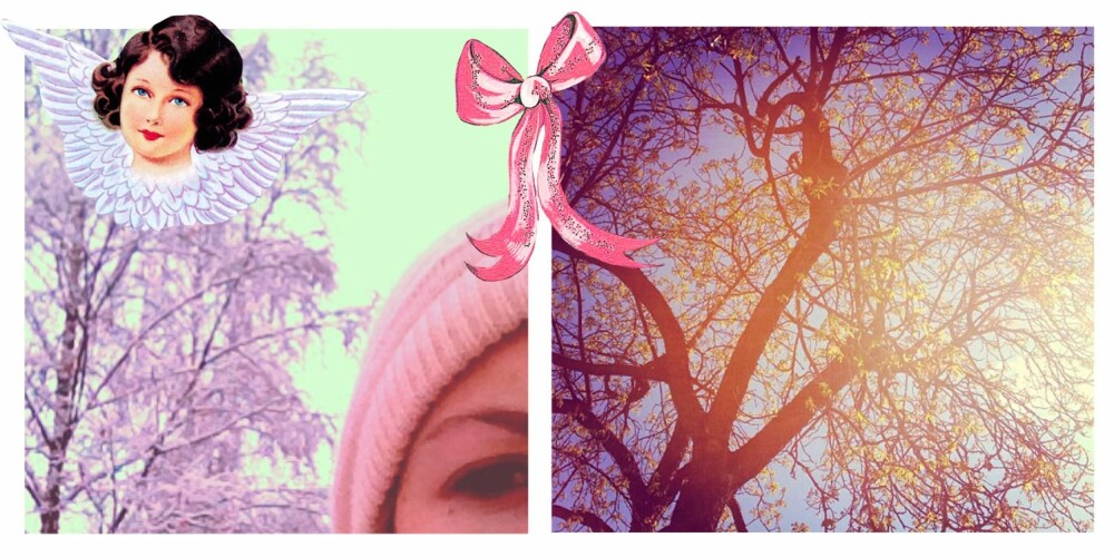BARE GLANSBILDER?: Til venstre: Rosa snø som matcher luen? Det må jeg jo bare ta et bilde av. Til høyre: «Når kastanjene blomster i Bygdøy Allé», men lyset bare er litt kjedelig... BARE GLANSBILDER?: Til venstre: Rosa snø som matcher luen? Det må jeg jo bare ta et bilde av. Til høyre: «Når kastanjene blomster i Bygdøy Allé», men lyset bare er litt kjedelig...