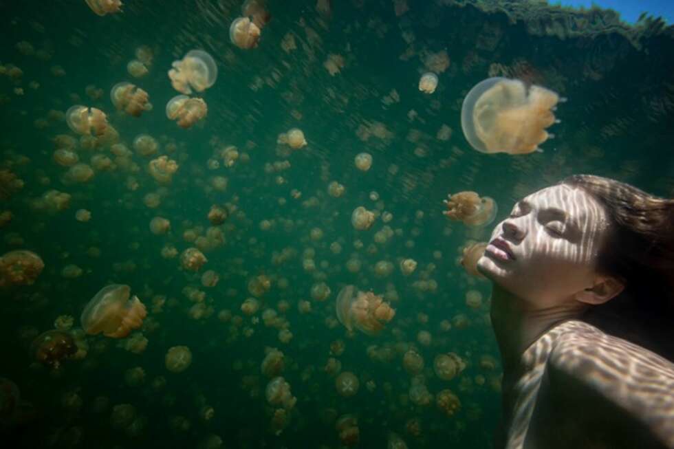 Amber hadde nylig utstillingen «The Girl at Jelly Fish Lake» i Oslo. Amber hadde nylig utstillingen «The Girl at Jelly Fish Lake» i Oslo.