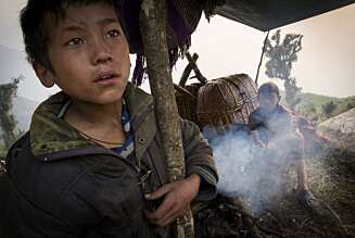Måtte jage vekk en bjørn som kom på natten for å forsyne seg av geitene våre, forklarer Koshan Dorje Sherpa (8) med lav, sjenert stemme, når jeg spør om arret han har i panna. Måtte jage vekk en bjørn som kom på natten for å forsyne seg av geitene våre, forklarer Koshan Dorje Sherpa (8) med lav, sjenert stemme, når jeg spør om arret han har i panna.