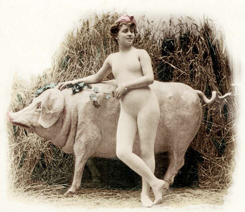 ikke noe griseri: Tekkelige kroppsstrømper ble flittig brukt i den erotiske fotografereringens barndom. Grisen er kunstig, hvis noen lurte. Studiobilde fra 1900. ikke noe griseri: Tekkelige kroppsstrømper ble flittig brukt i den erotiske fotografereringens barndom. Grisen er kunstig, hvis noen lurte. Studiobilde fra 1900.