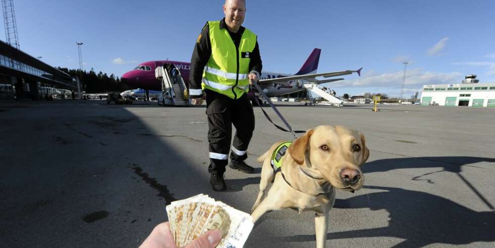 Valutahund
Tollvesenet
Sandefjord lufthavn Torp
Bjørn Åge Bakken
Dan Valutahund
Tollvesenet
Sandefjord lufthavn Torp
Bjørn Åge Bakken
Dan