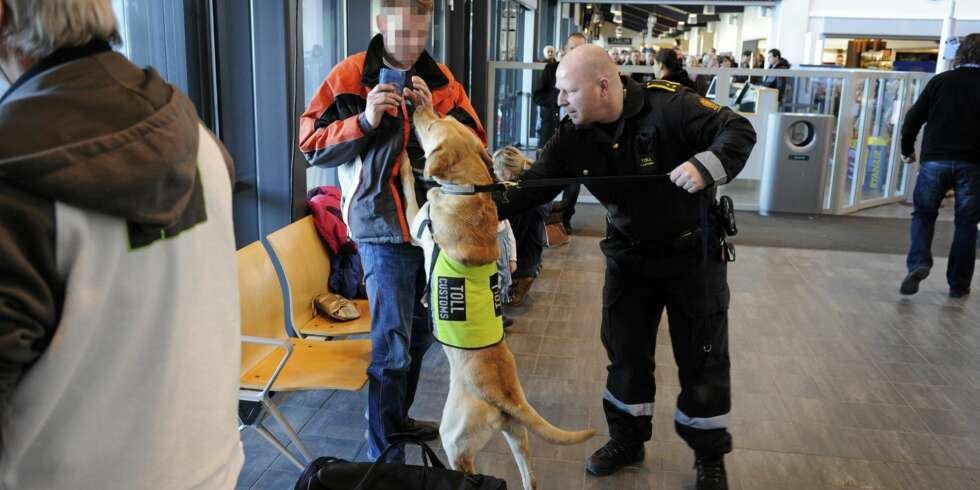 Jaktlabradoren Dan og tollbetjent Bjørn Åge Bakken i aksjon på Sandefjord lufthavn. I dag bruker Tollvesenet tre spesialtrente hunder til å snuse opp penger som blir forsøkt tatt med ulovlig ut av landet. Jaktlabradoren Dan og tollbetjent Bjørn Åge Bakken i aksjon på Sandefjord lufthavn. I dag bruker Tollvesenet tre spesialtrente hunder til å snuse opp penger som blir forsøkt tatt med ulovlig ut av landet.