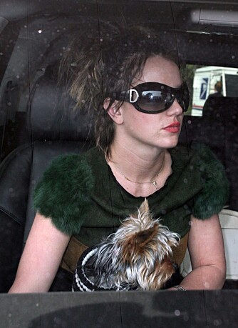 Britney Spears med hunden på fanget Britney Spears med hunden på fanget