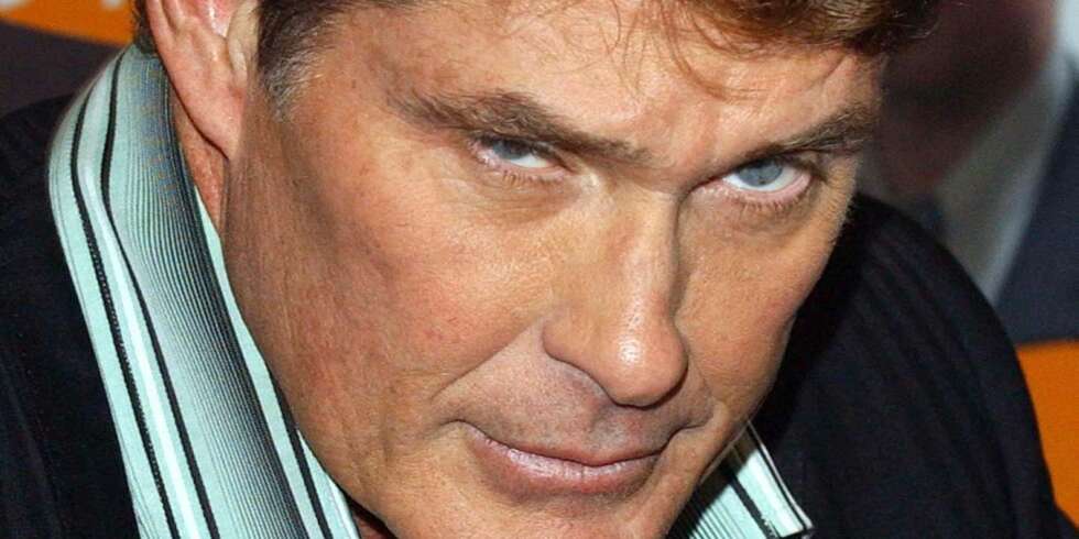 David Hasselhoff David Hasselhoff