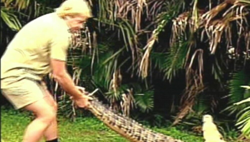 Steve Irwin Steve Irwin