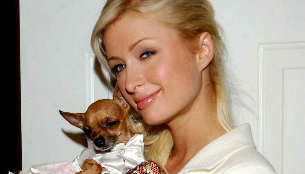 Paris Hilton Paris Hilton