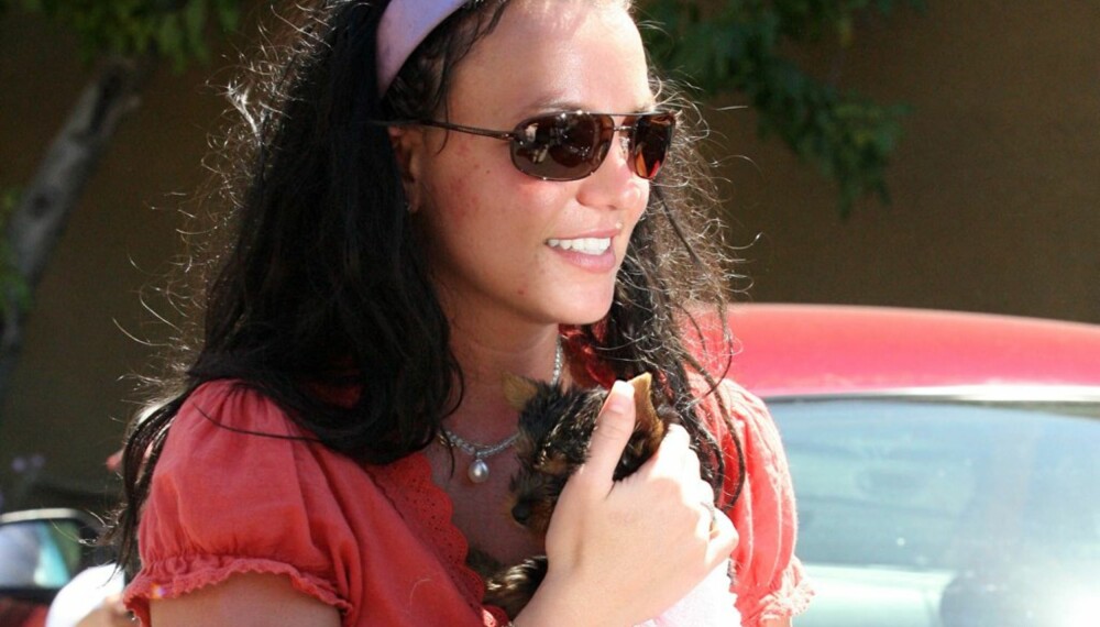 Britney Spears med sin nye hund Britney Spears med sin nye hund