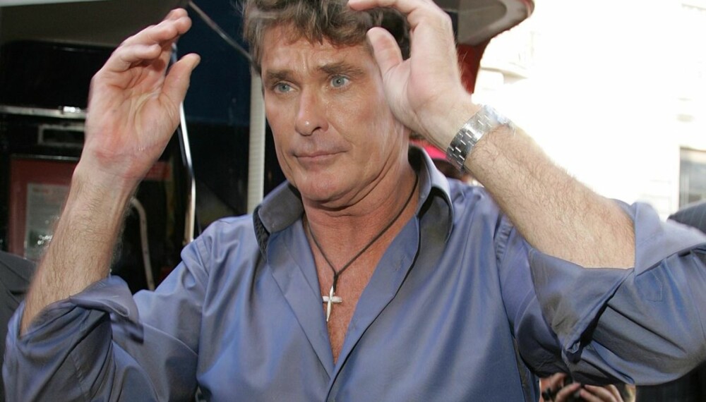 David Hasselhoff David Hasselhoff