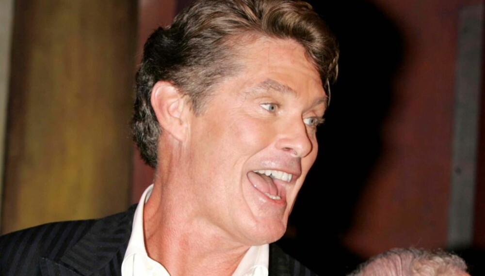 David Hasselhoff David Hasselhoff