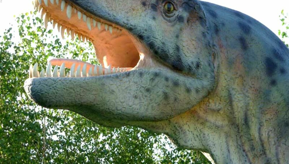 Den var enorm, men fredelig, dinosauren som forskerne gravde fram i Spania. (Illustrasjonsfoto) Den var enorm, men fredelig, dinosauren som forskerne gravde fram i Spania. (Illustrasjonsfoto)