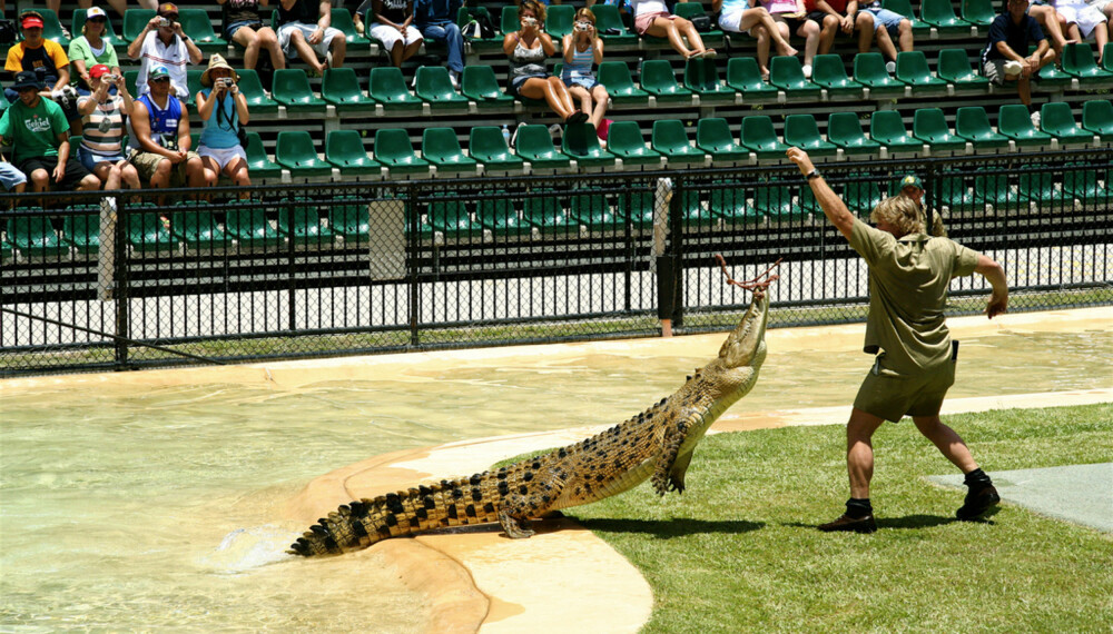 Steve Irwin Steve Irwin
