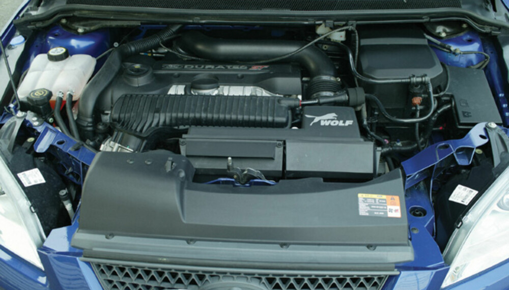 Wolf Ford Focus ST Wolf Ford Focus ST